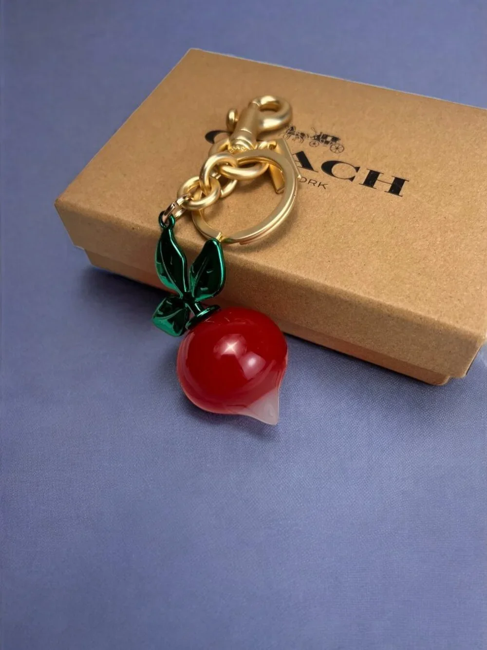 🌸Coach Red and Green Keychain